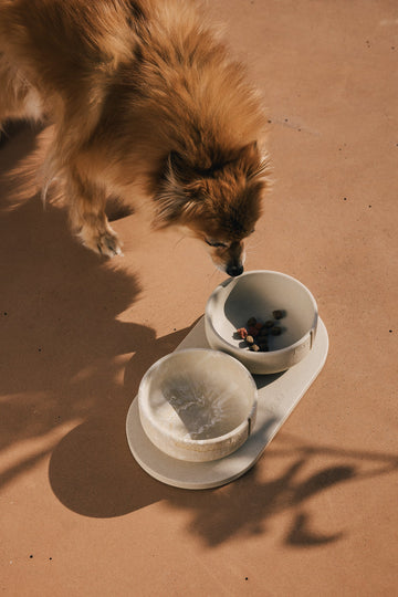 Bowls For Dogs
