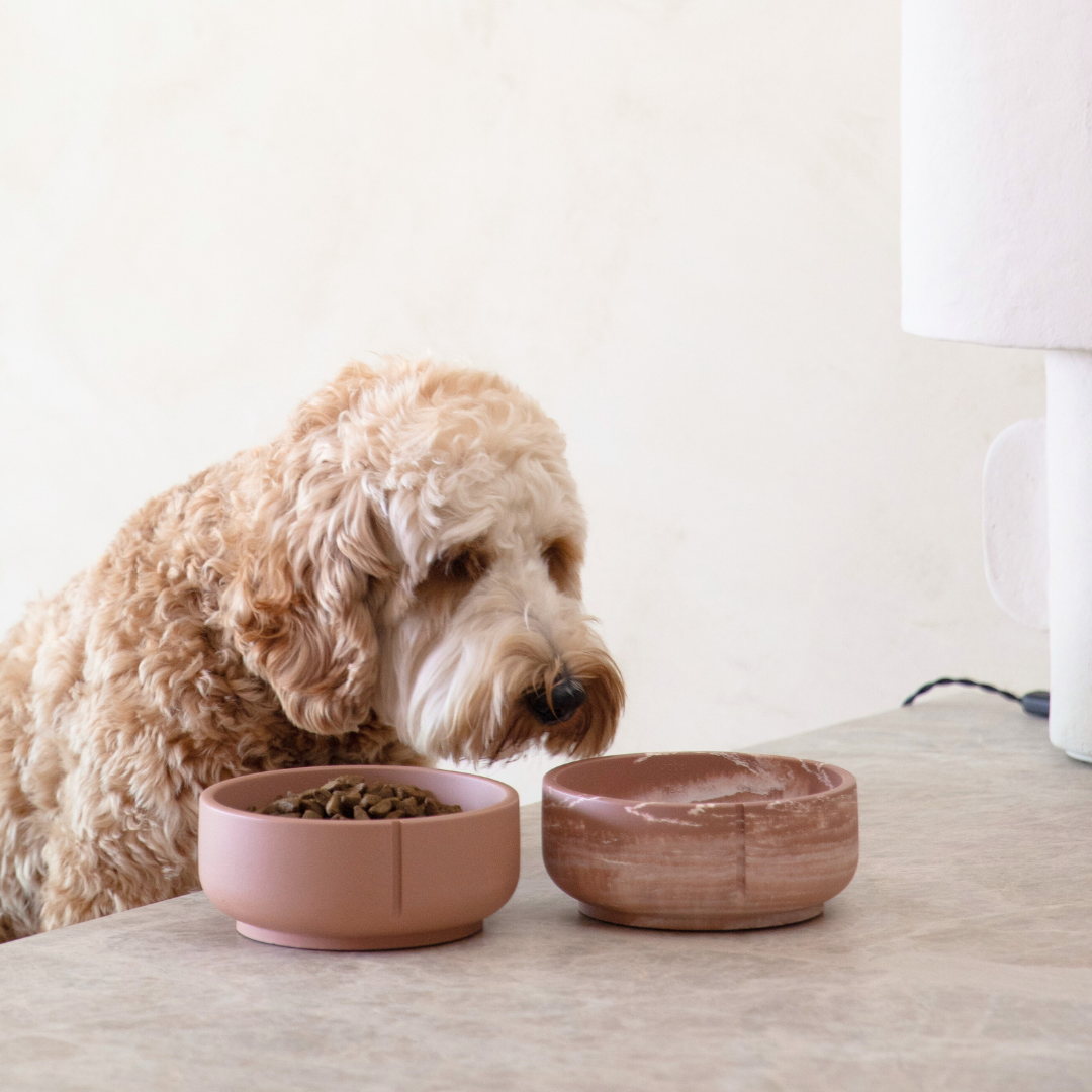 Classic Feeder Bowls