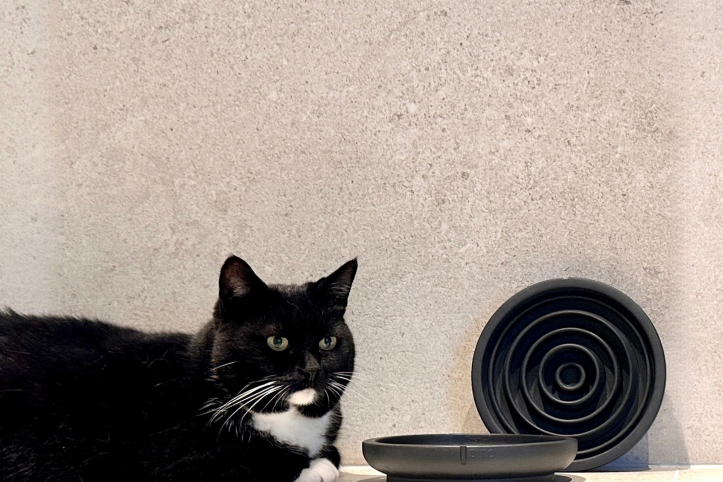 Classic Feeder Bowls