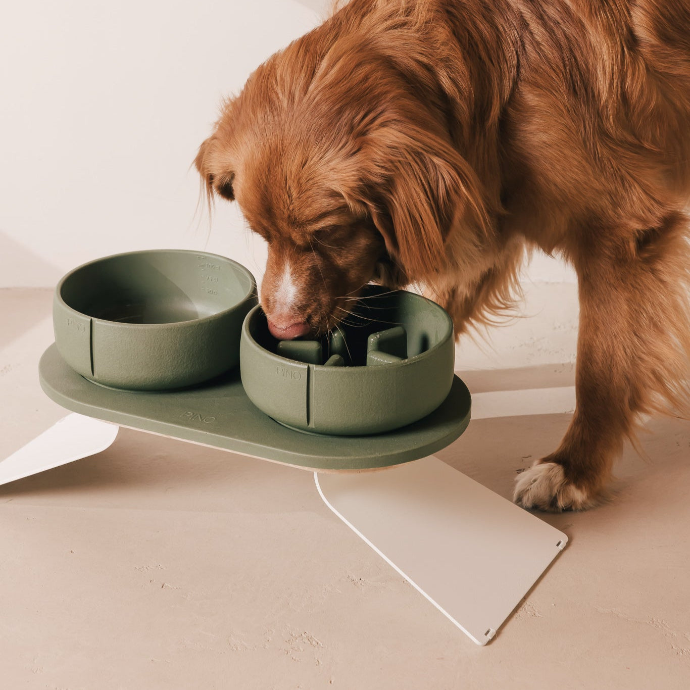 Slow Feeder Bowl