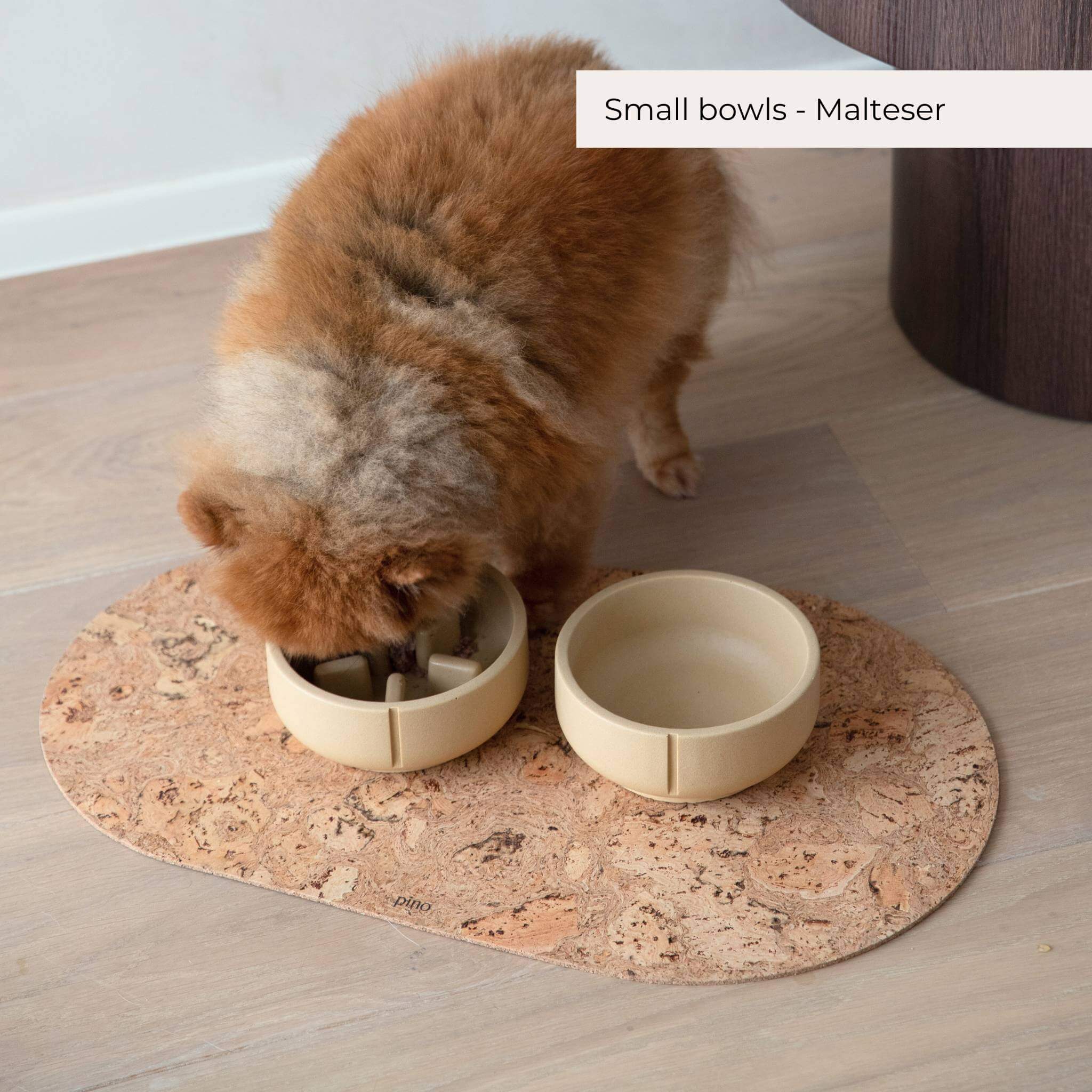 Slow Feeder Bowls - 2024 Collection