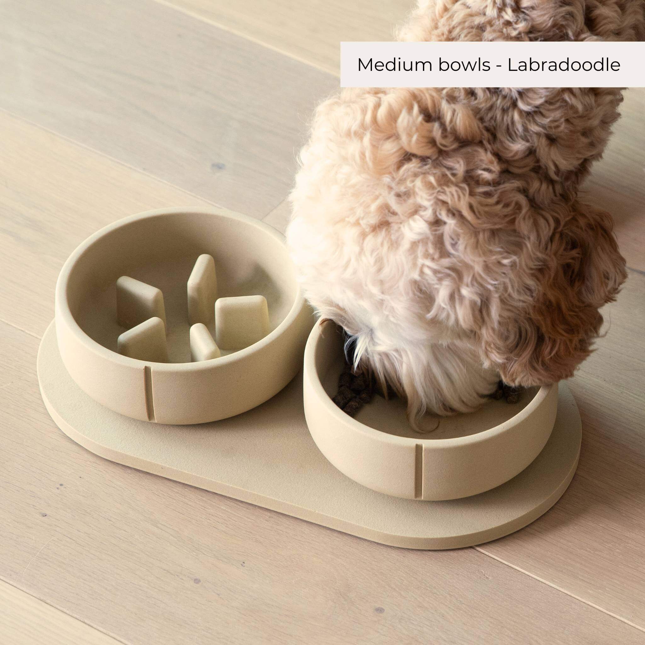 Slow Feeder Bowls - 2024 Collection