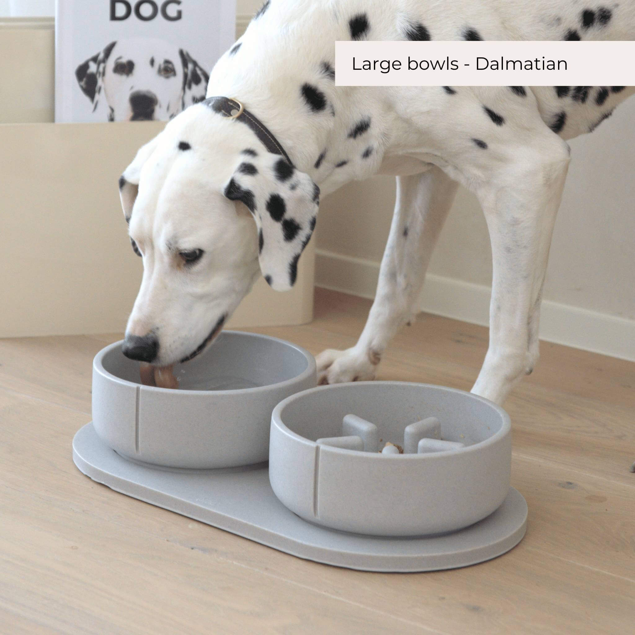 Slow Feeder Bowls - 2024 Collection