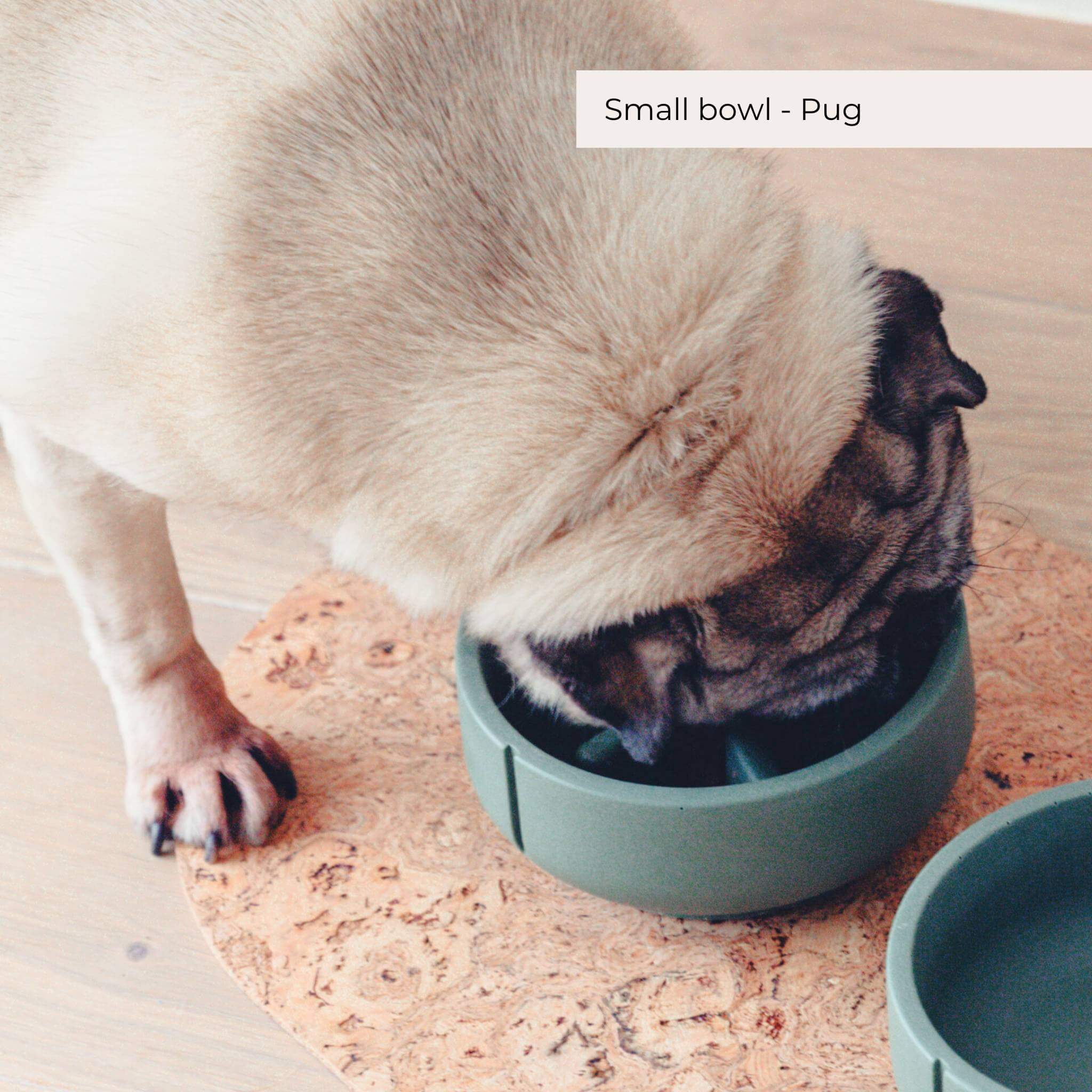 Slow Feeder Bowls - 2024 Collection