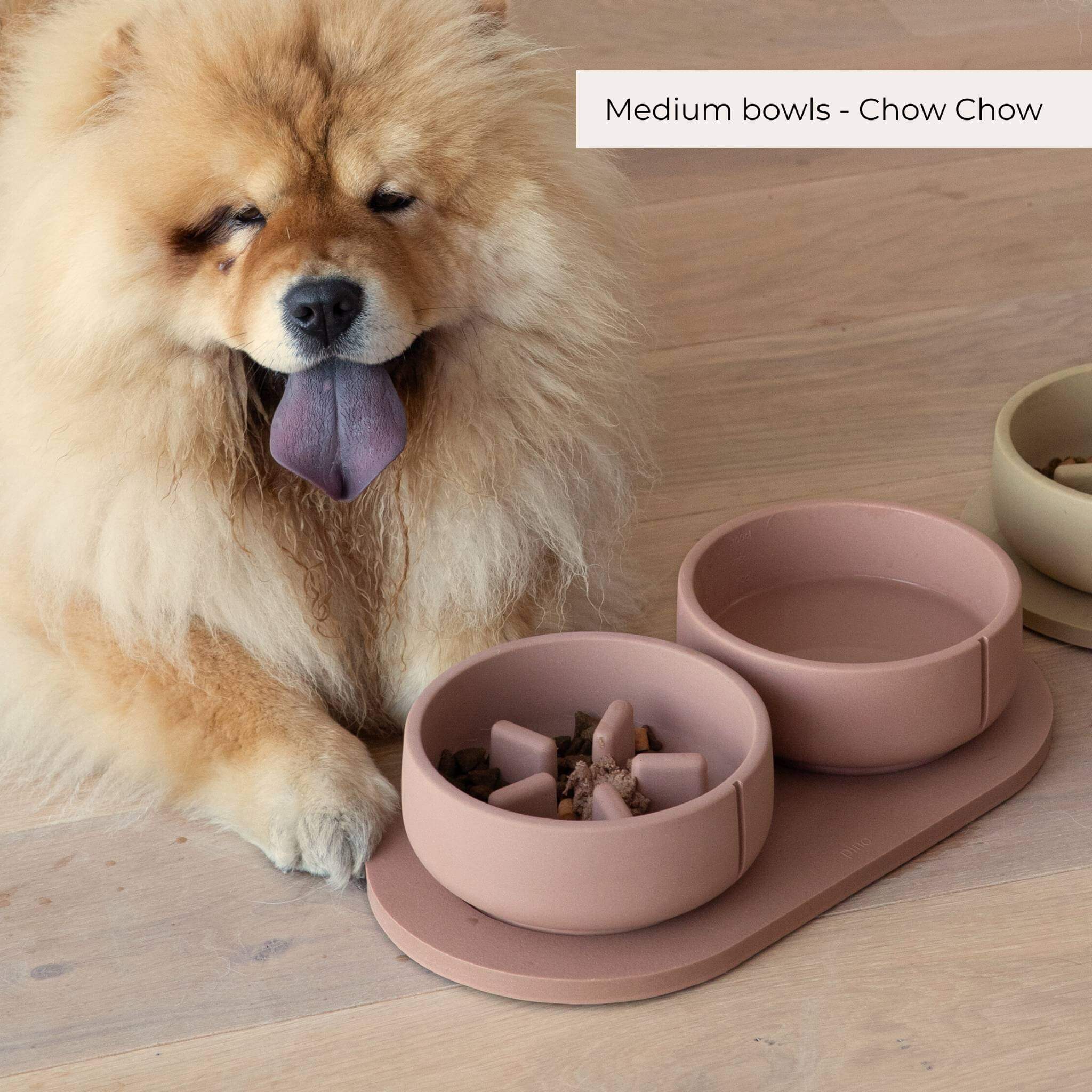 Slow Feeder Bowls - 2024 Collection