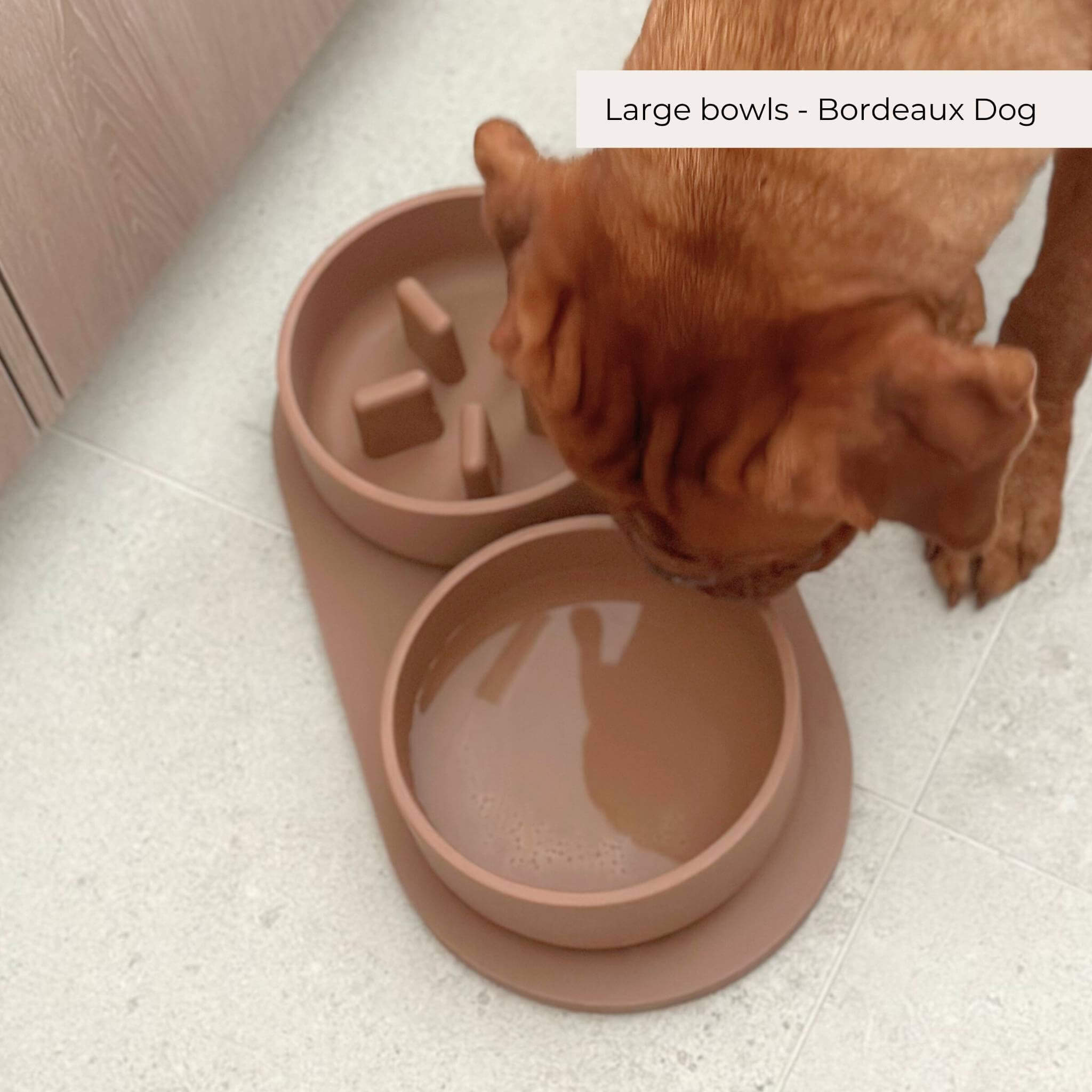 Slow Feeder Bowls - 2024 Collection