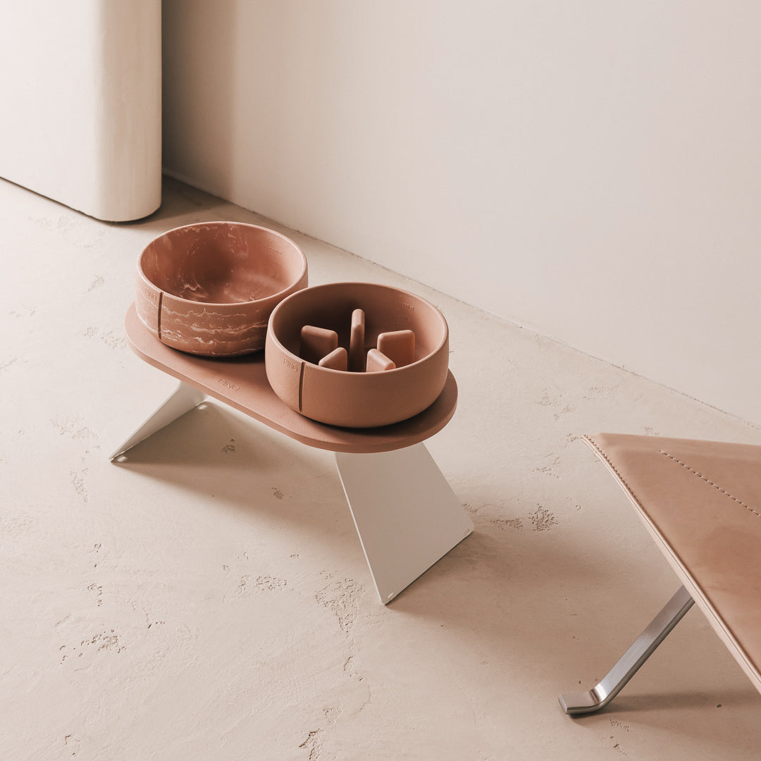 Slow Feeder Bowl