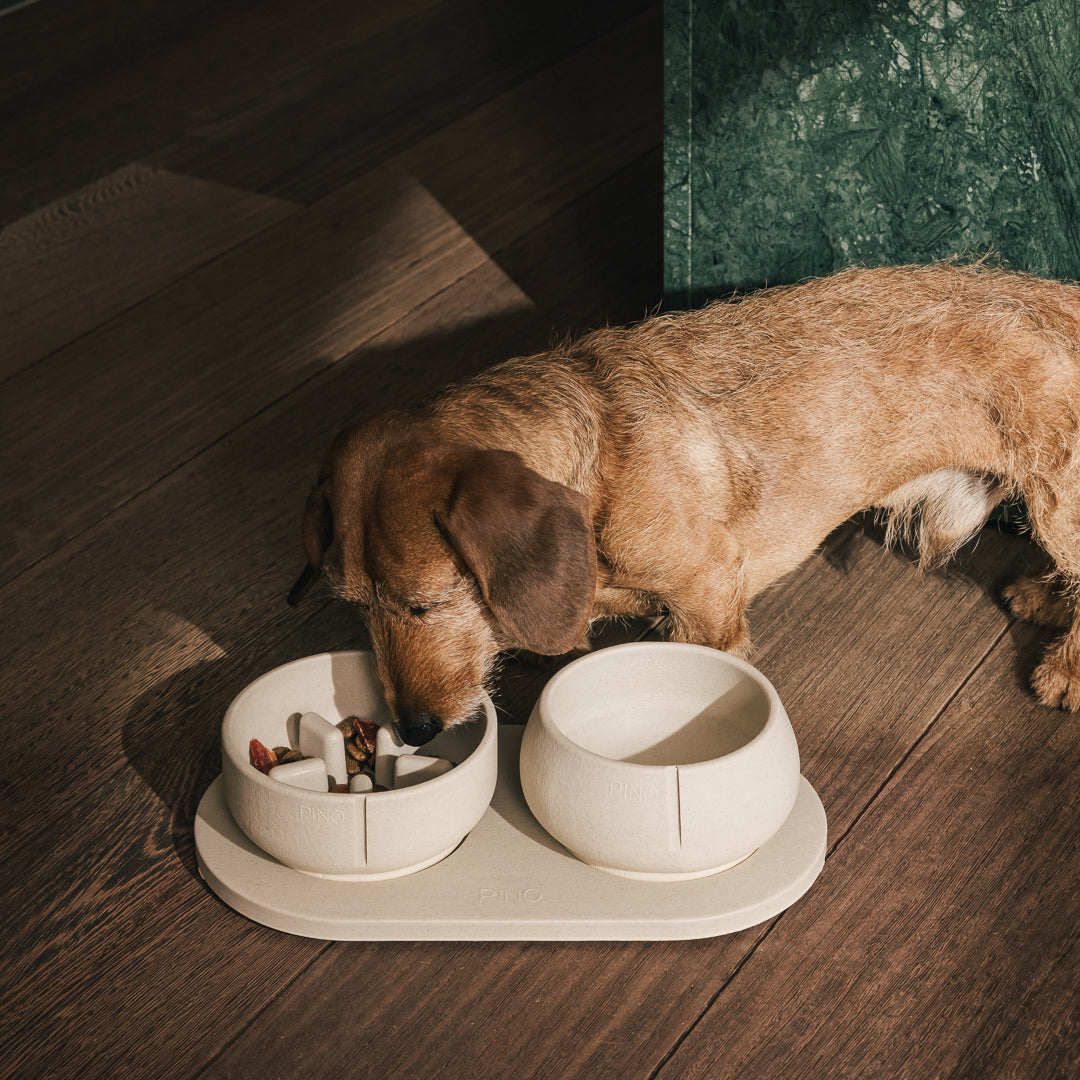 Slow Feeder Bowl