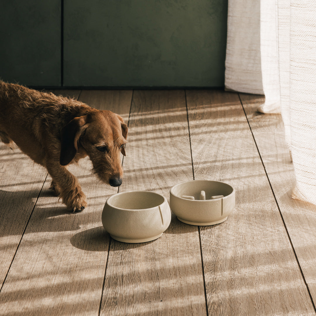 Slow Feeder Bowl
