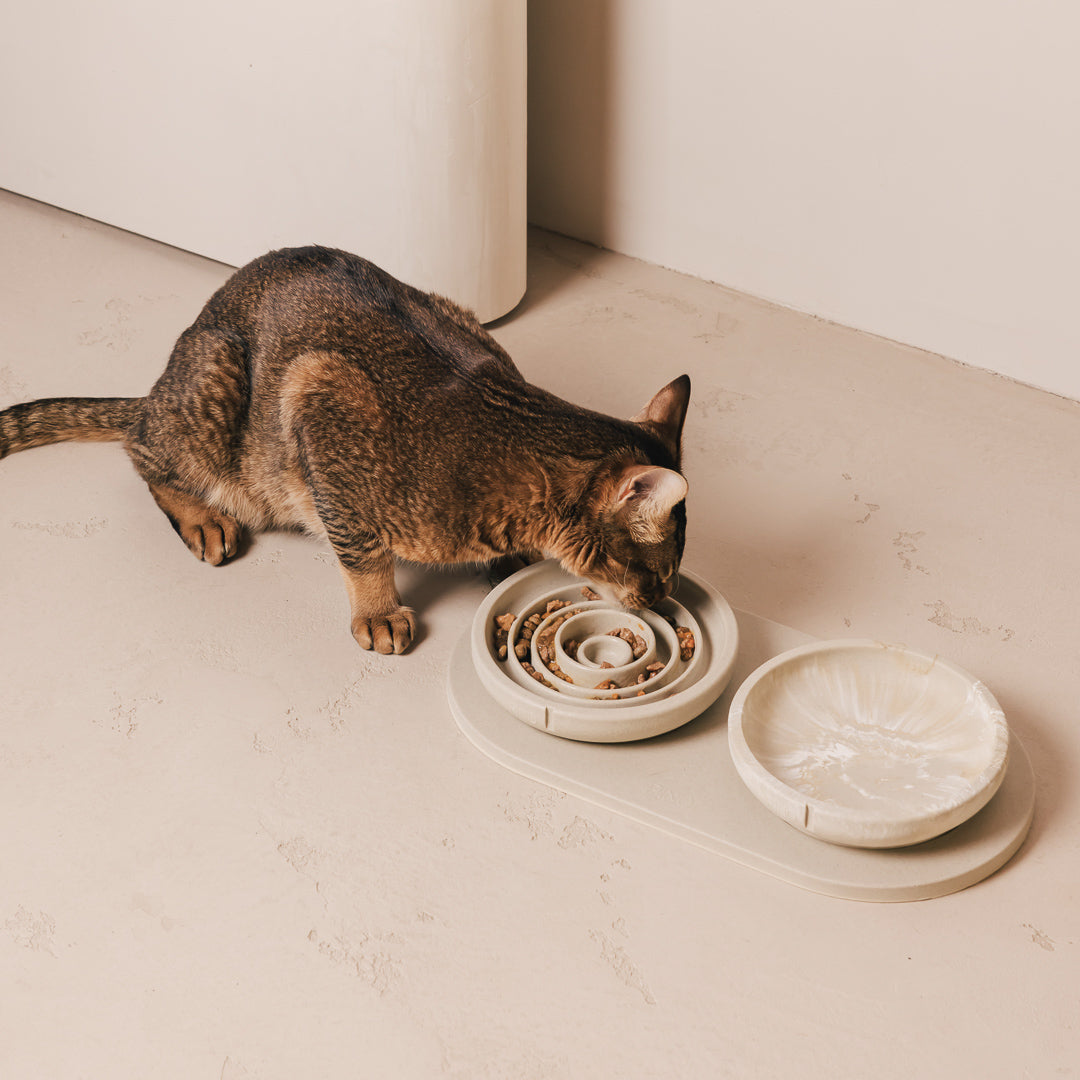 Kat eet uit een PINO Anti-Schrok Voerbak voor katten op een Plateau, naast een Snorhaarvriendelijke Voerbak