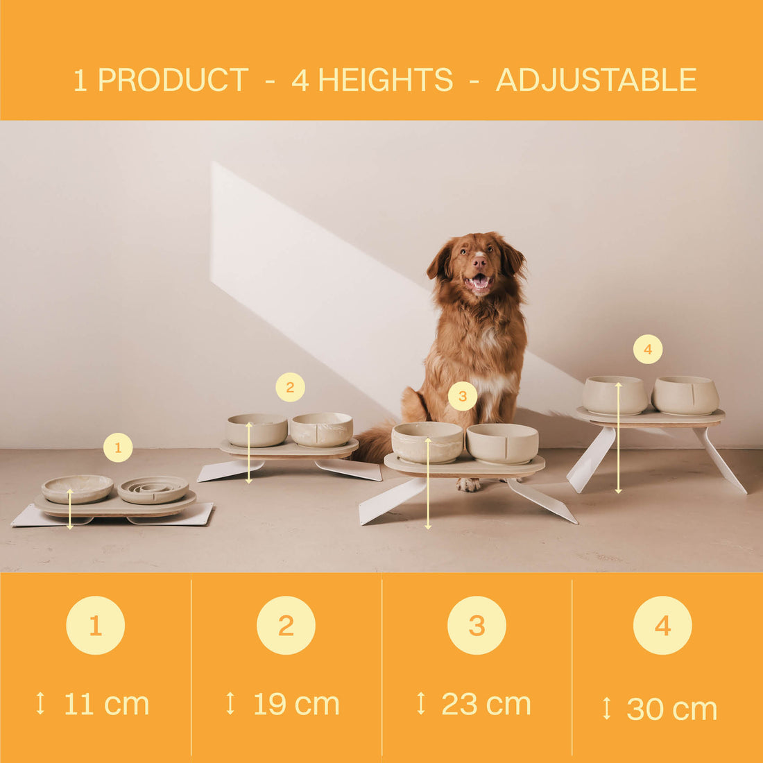 Height chart of the raised tray extension at 11, 19, 23 and 30 cm, with a dog seated behind