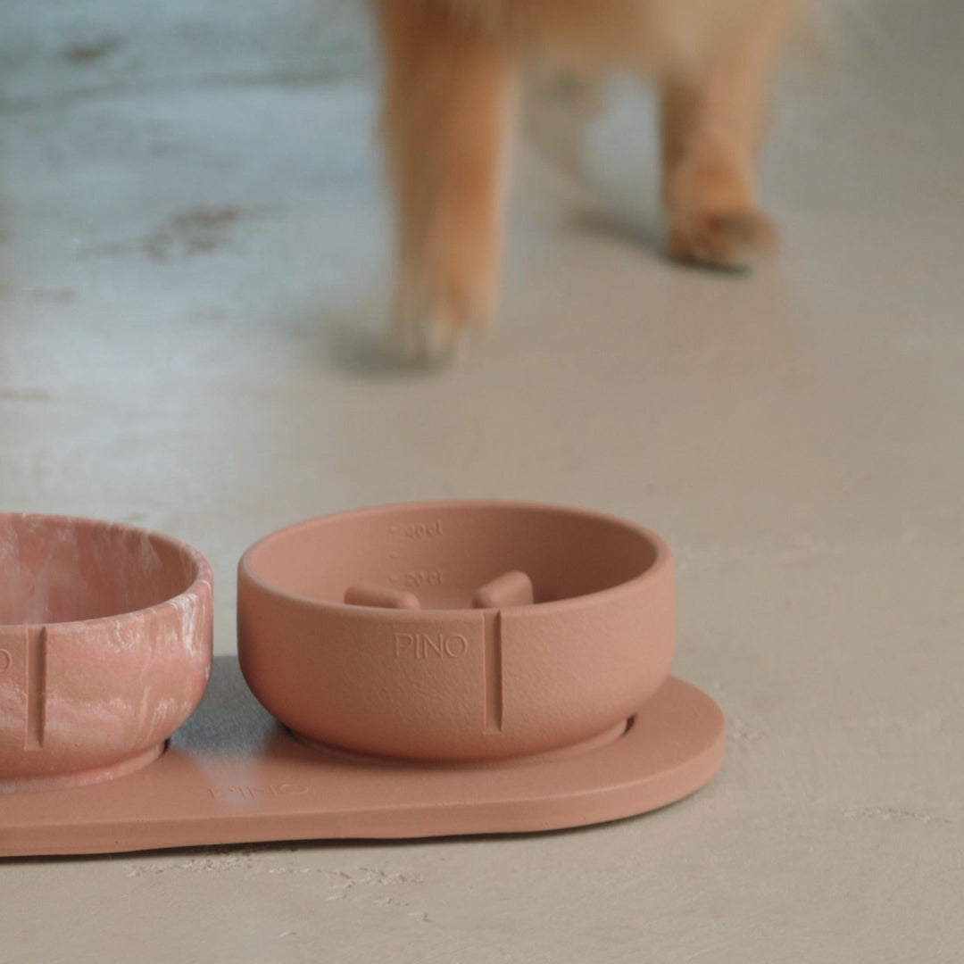 Slow Feeder Bowl