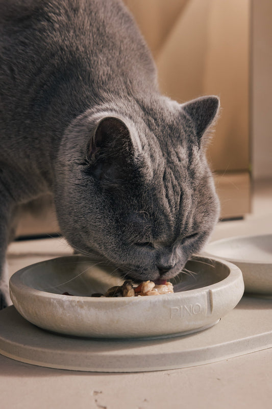 What does whisker friendly mean?