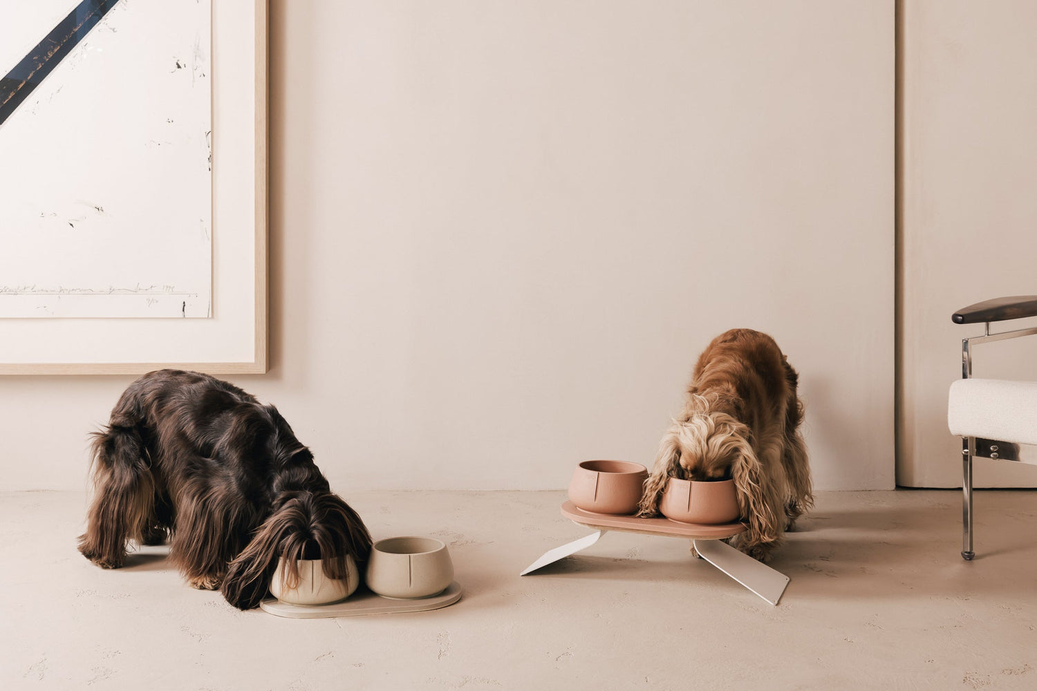  Bowls For Dogs 