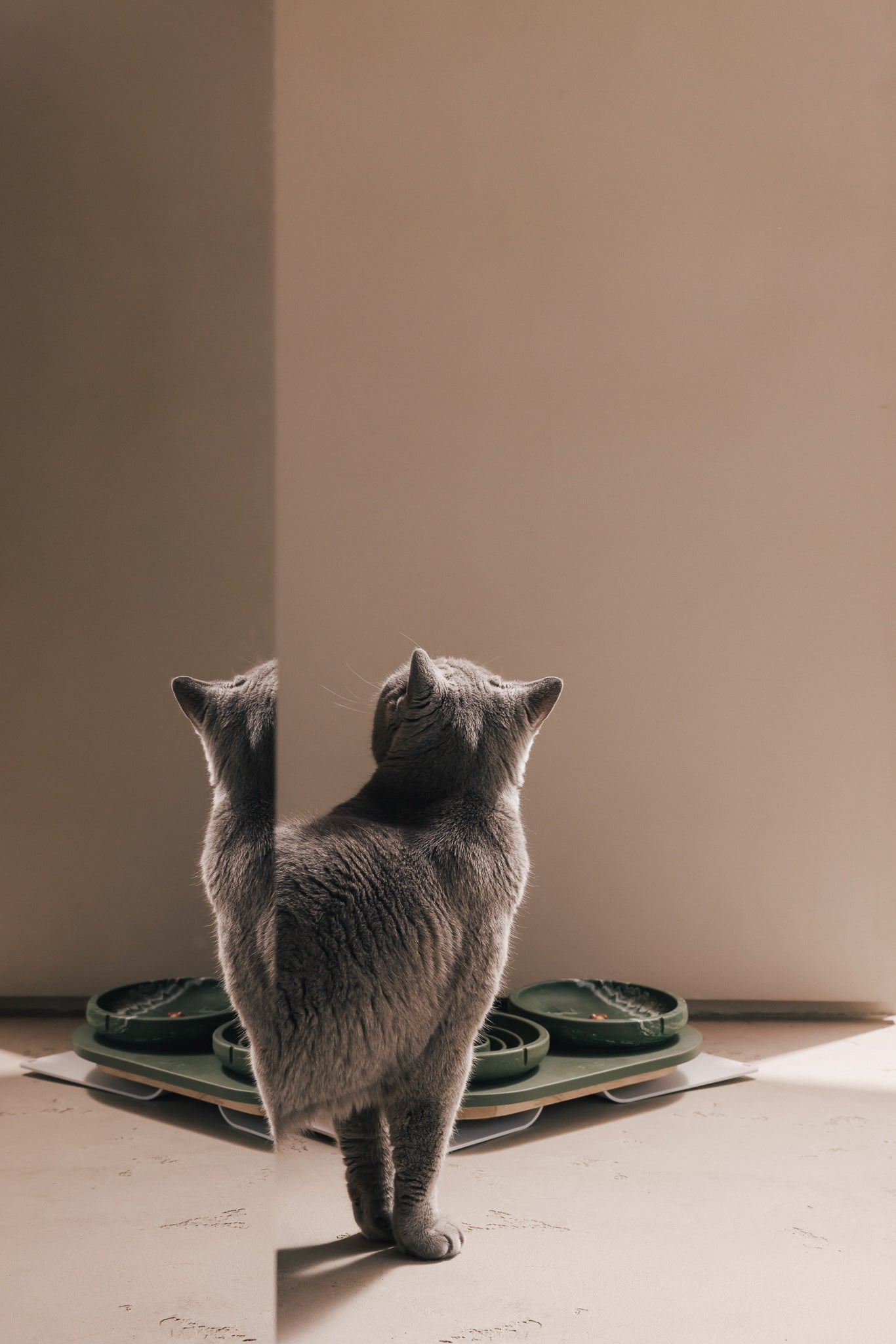 Bowls For Cats