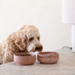 Classic Feeder Bowls
