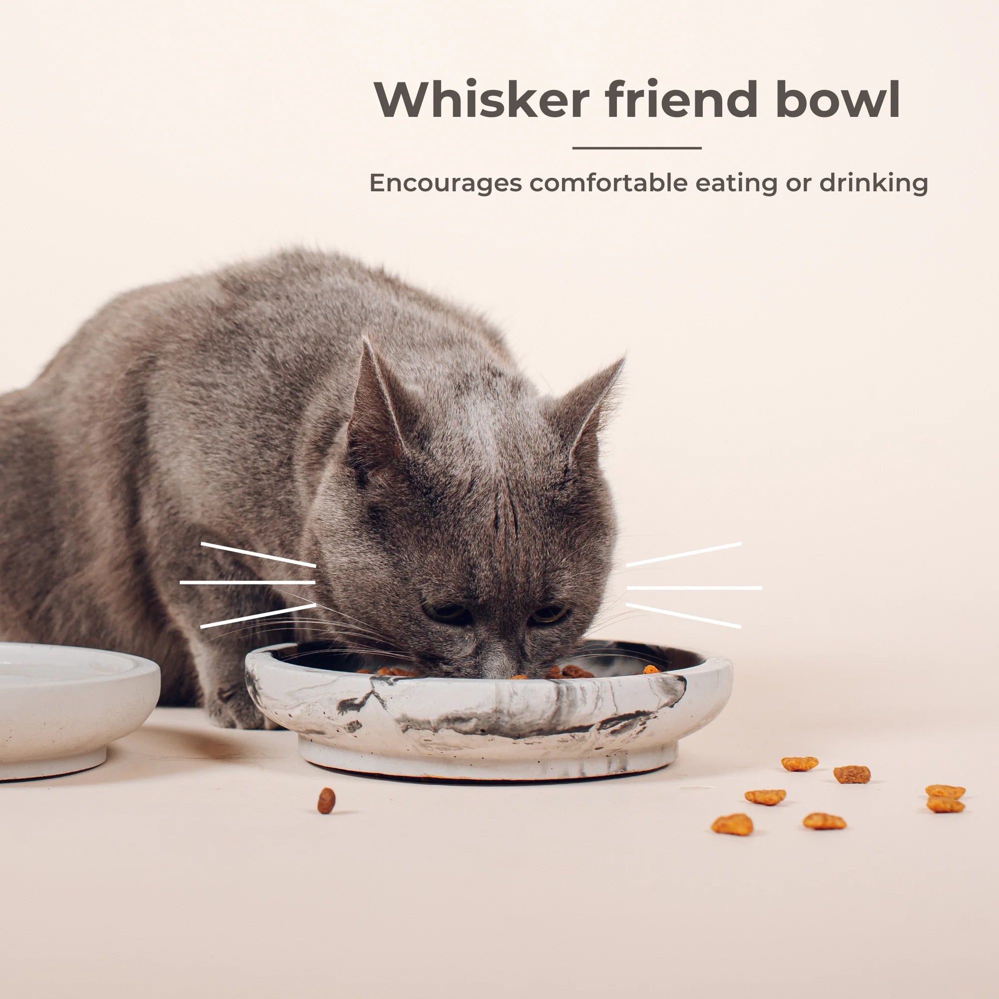 Whisker Friendly Bowls - 2024 Collection