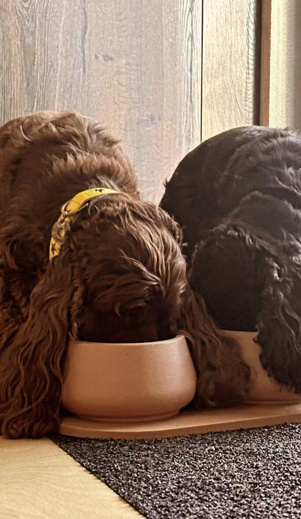 Eindelijk een mooie design-voerbak voor onze cocker spaniels. Ze hoeven geen snood of paardenstaart meer op hun kop te dragen, en hun oren blijven mooi schoon. We zijn er erg blij mee! En ze blijven goed op hun plek zitten 🤩