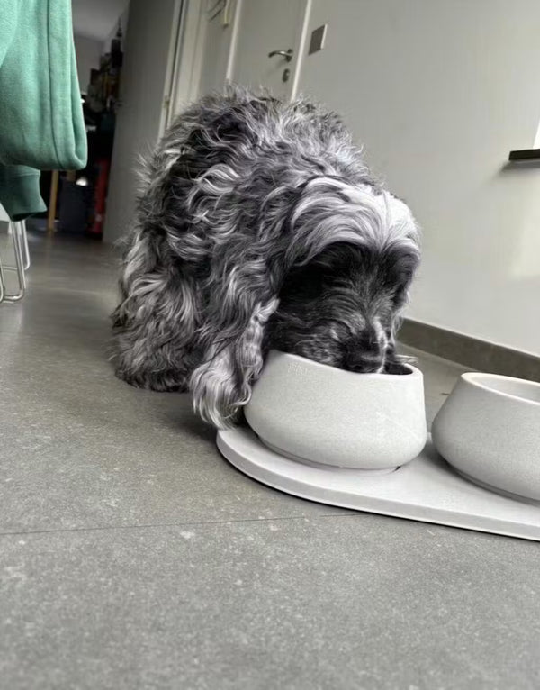 De oren van mijn cocker spaniel zijn nu veel minder nat dankzij de drinkbak voor honden met lange oren. Het zijn erg mooie en stevige drinkbakken. We zijn er erg tevreden over.