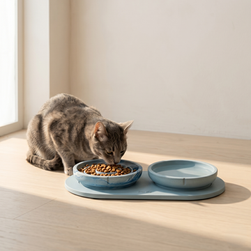 Flat Slow Feeder Bowl (Bluebird Limited Edition)