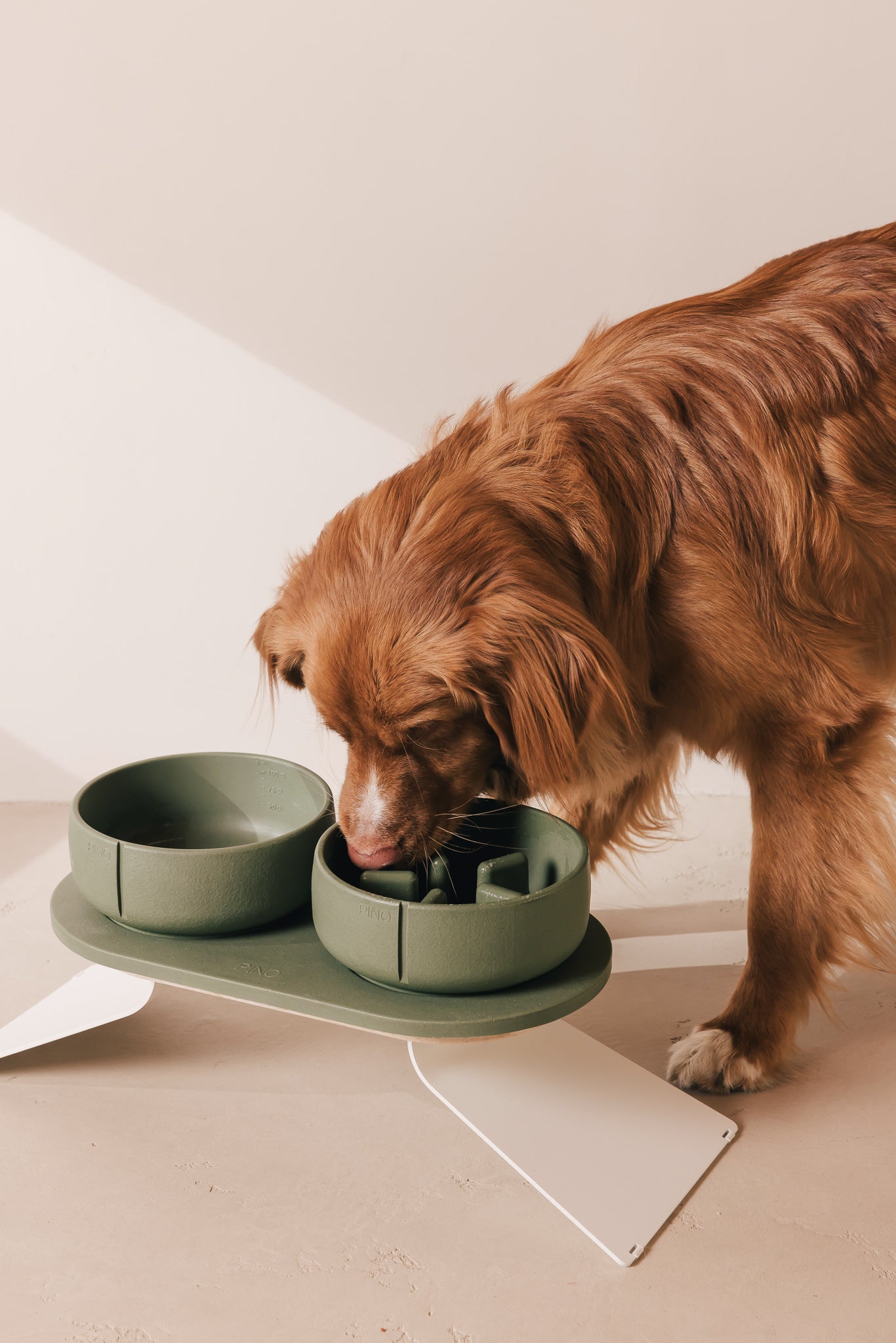 Slow Feeder Bowl