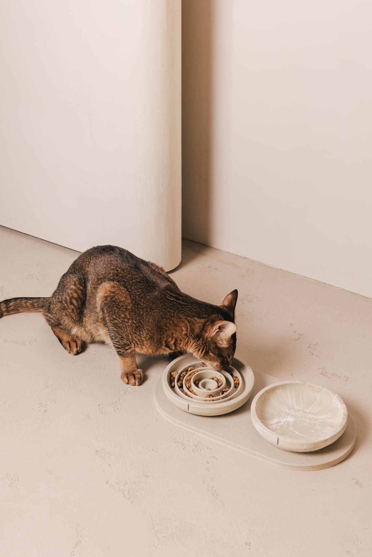 Een kat eet uit een PINO Anti Schrok Voerbak voor Katten op een Plateau voor Katten, naast een Snorhaarvriendelijke Voerbak