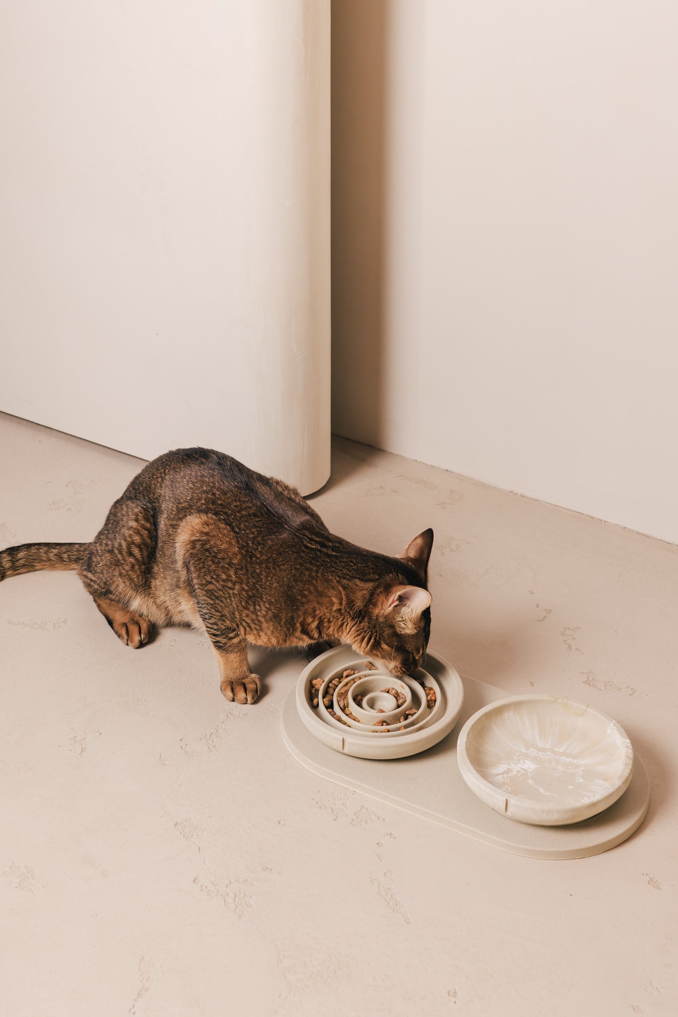 Slow Feeder Bowl for Cats