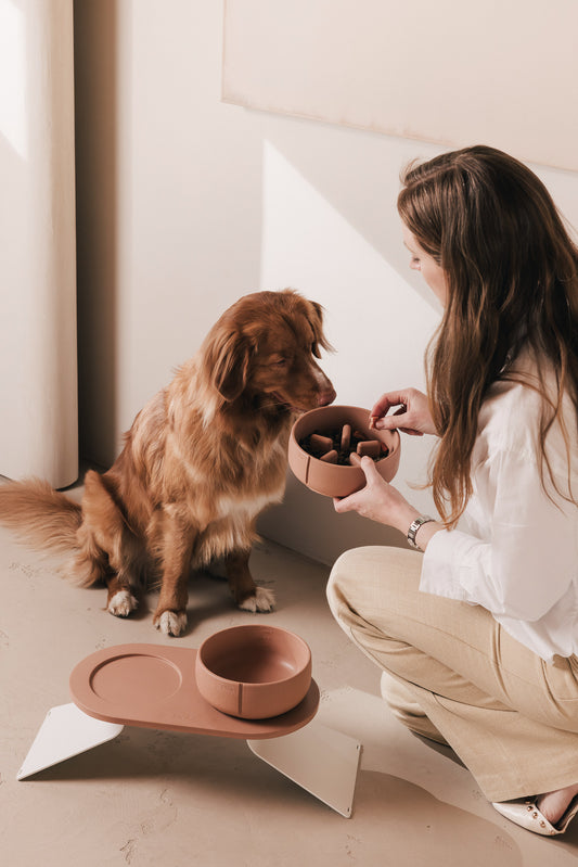 Slow Feeder Bowl