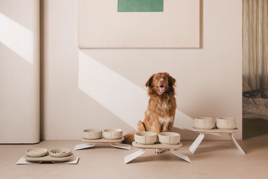 Raised Tray Set