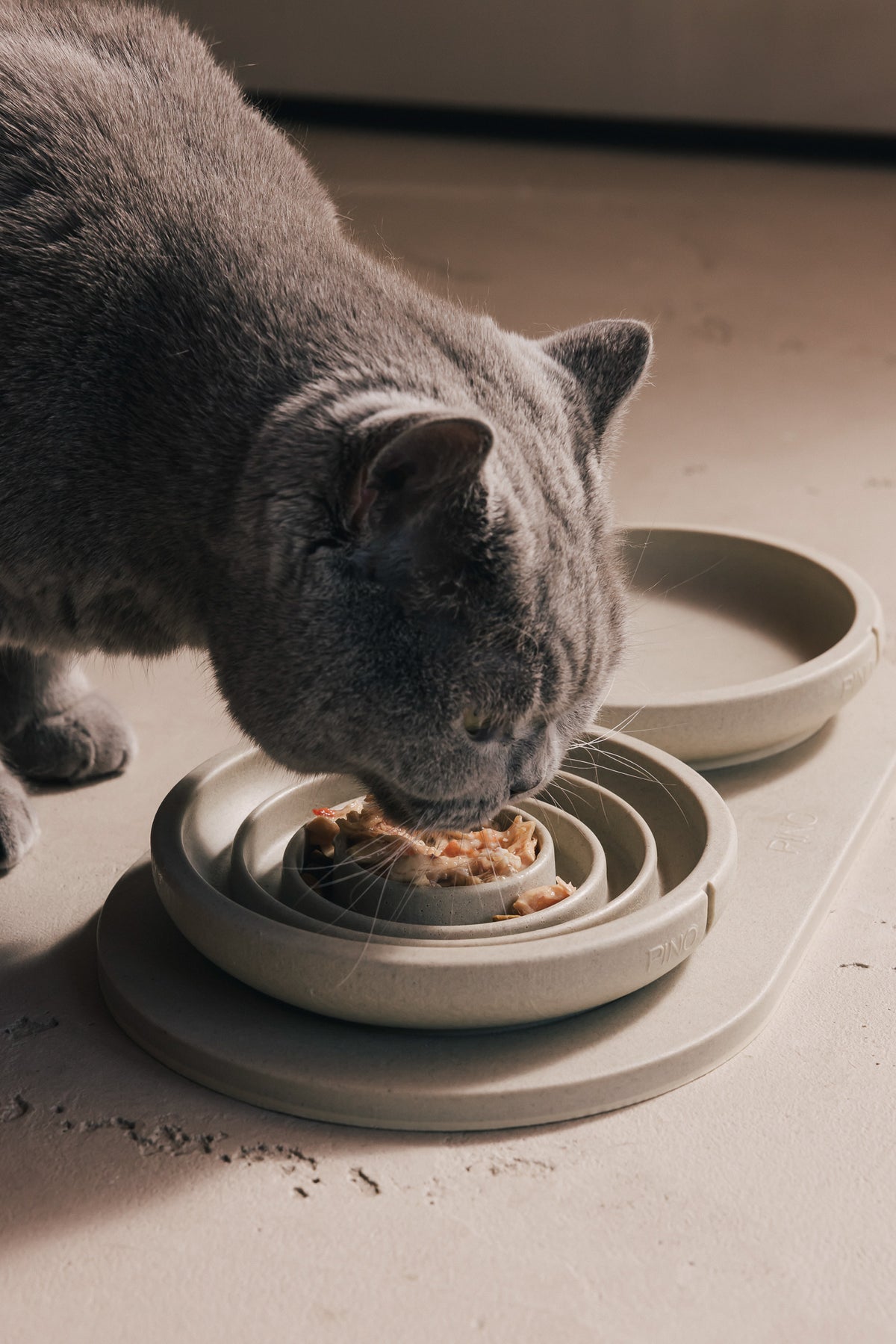 Close-up van een grijze kat die natvoer eet tussen de verhoogde ringen van een Owl Greige PINO Anti Schrok Voerbak voor Katten