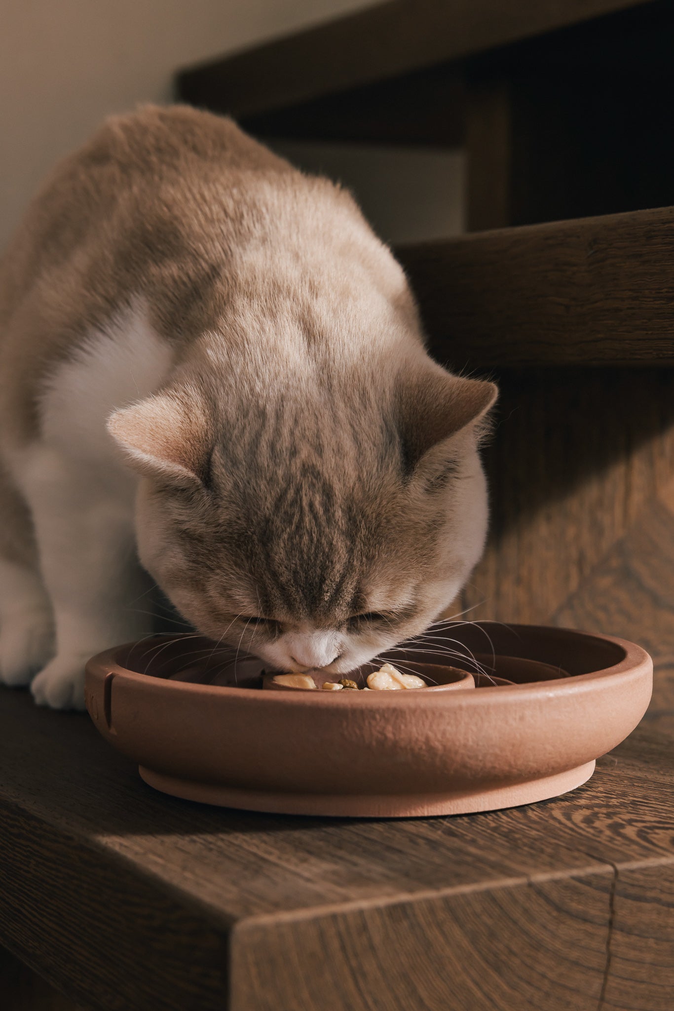 Anti Schrok Bowl 