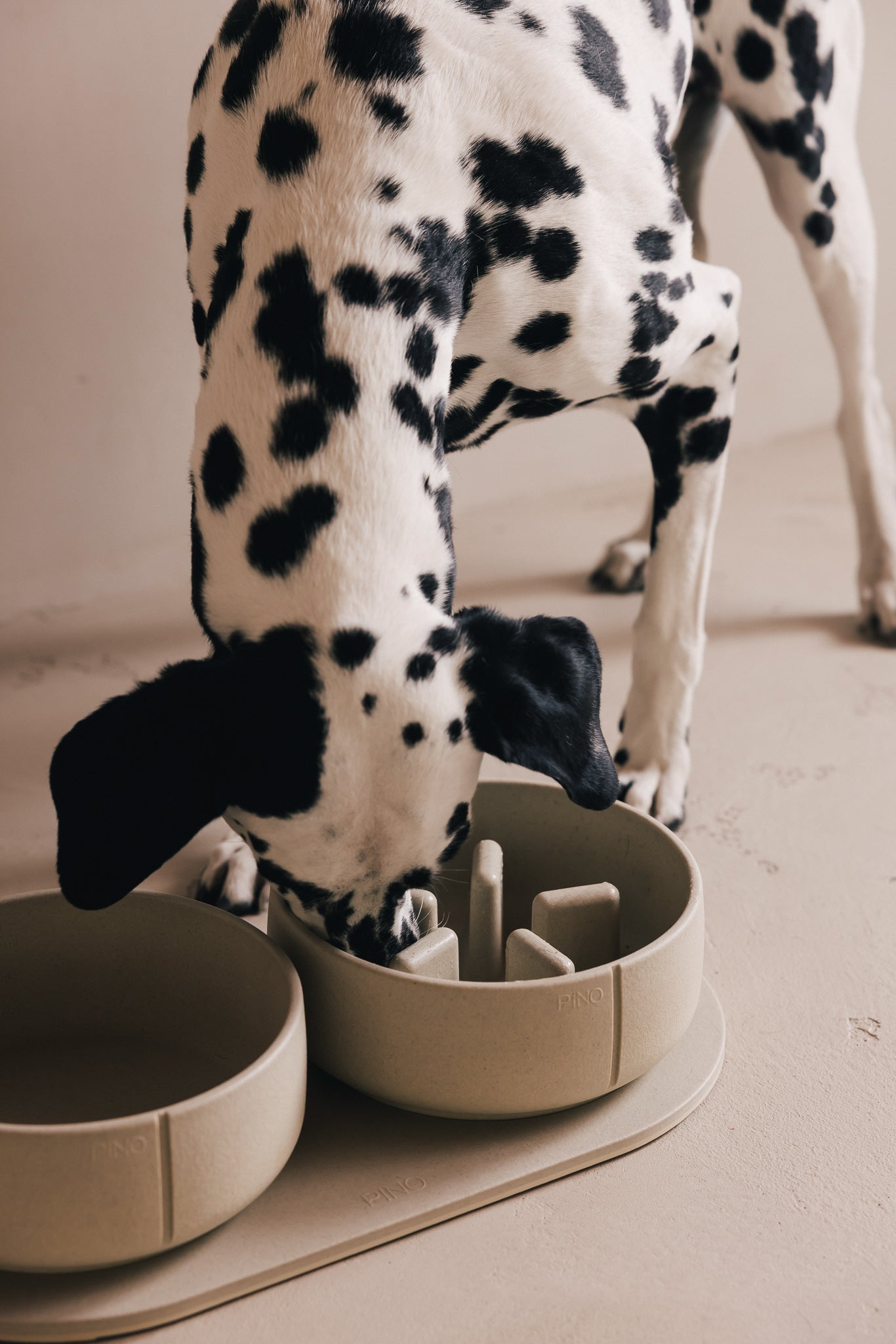 Slow Feeder Bowl