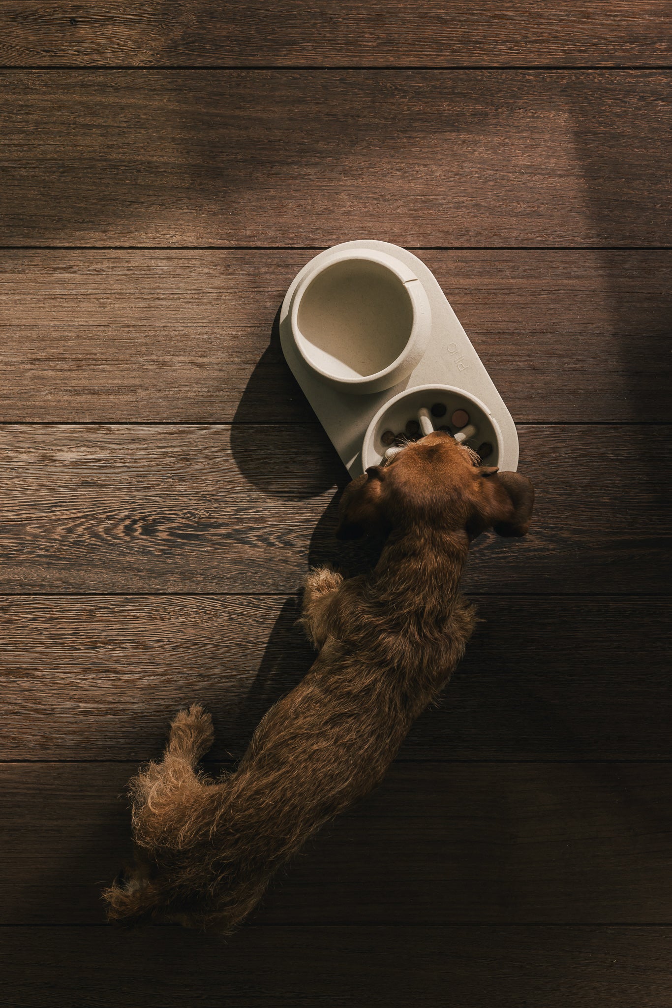 Slow Feeder Bowl