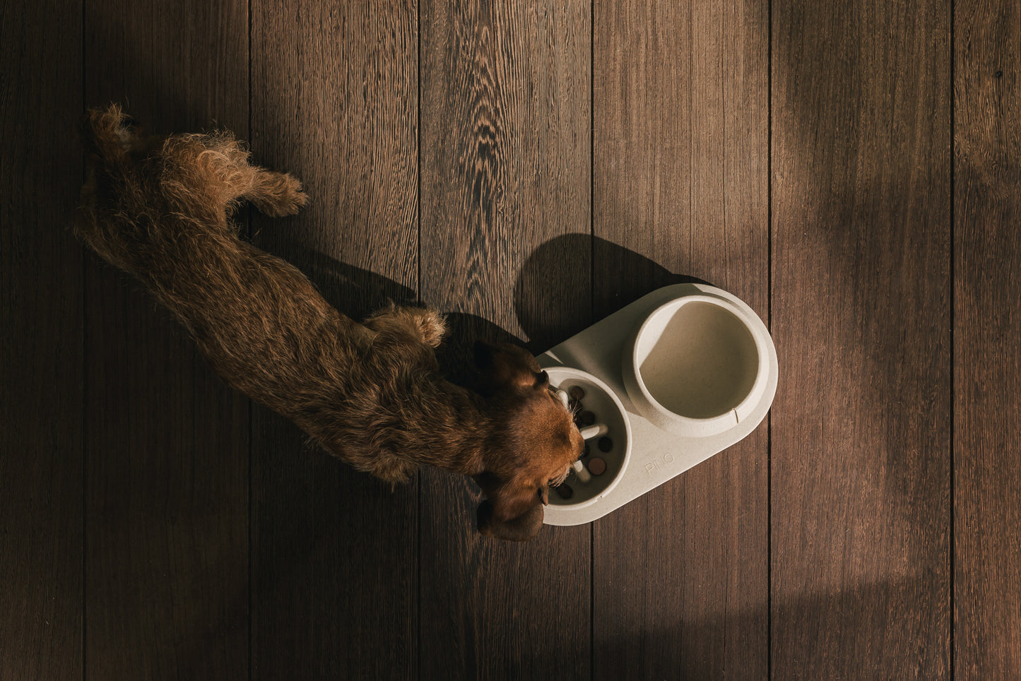 Slow Feeder Bowl