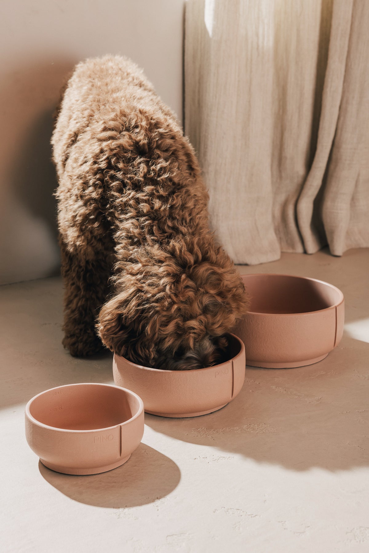 Een krullende hond eet uit een terracotta PINO Classic Voerbak, met nog twee Classic Voerbakken ernaast