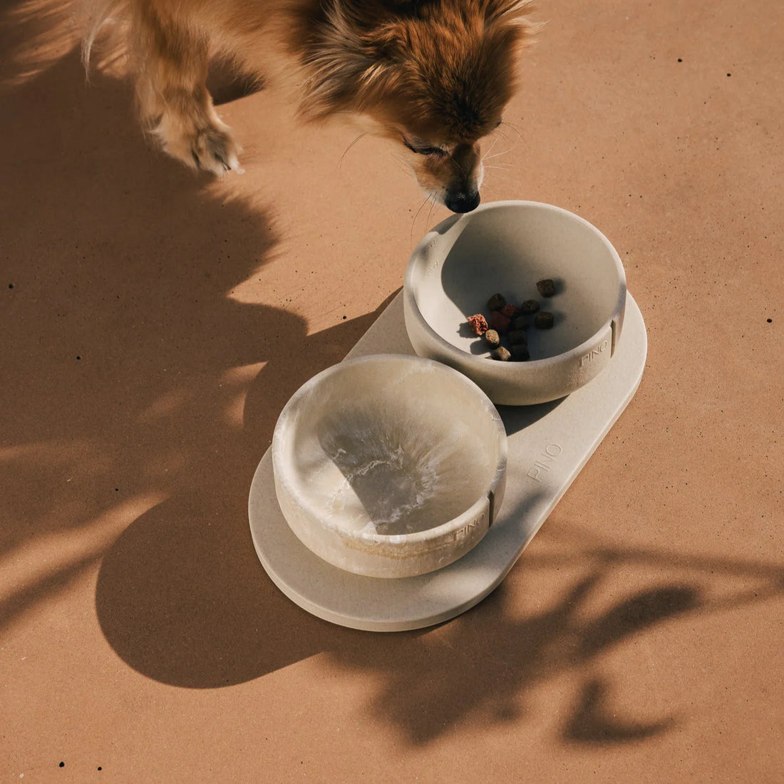 Kleine hond snuffelt aan brokjes in een PINO Classic Voerbak op een Plateau, close-up