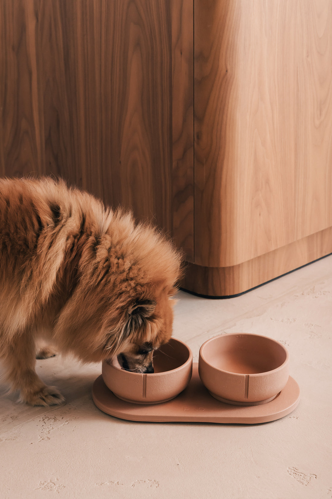 Kleine hond eet uit een PINO Classic Voerbak op een Plateau naast een houten kast