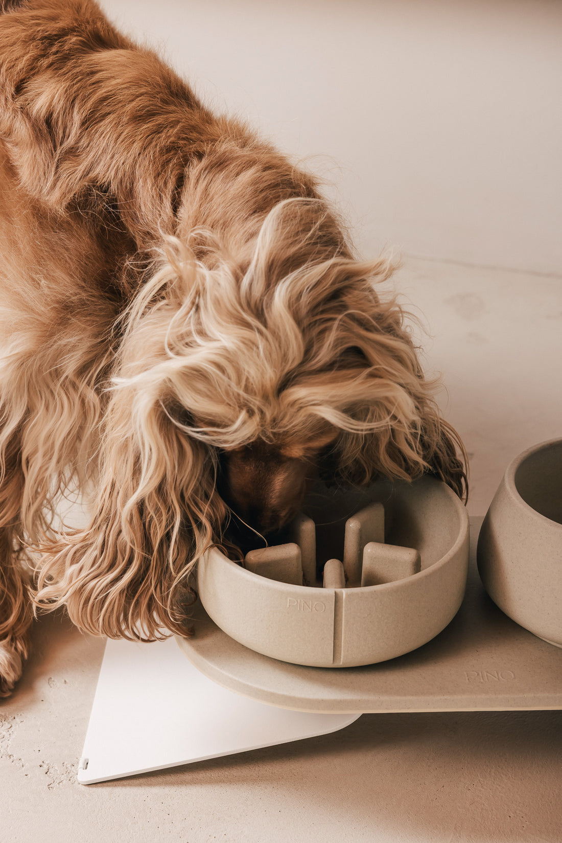 Langharige hond eet uit een PINO Anti-Schrok Voerbak op een Plateau