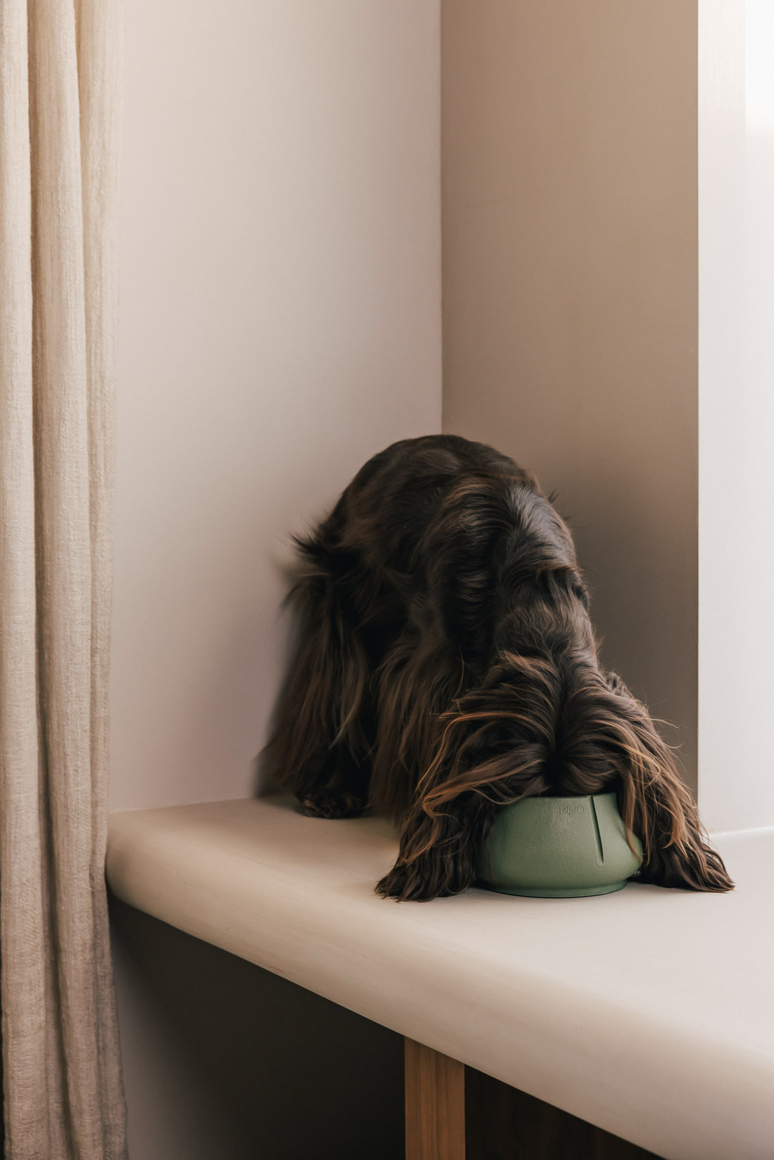 Long Ears Bowl (B-Stock)