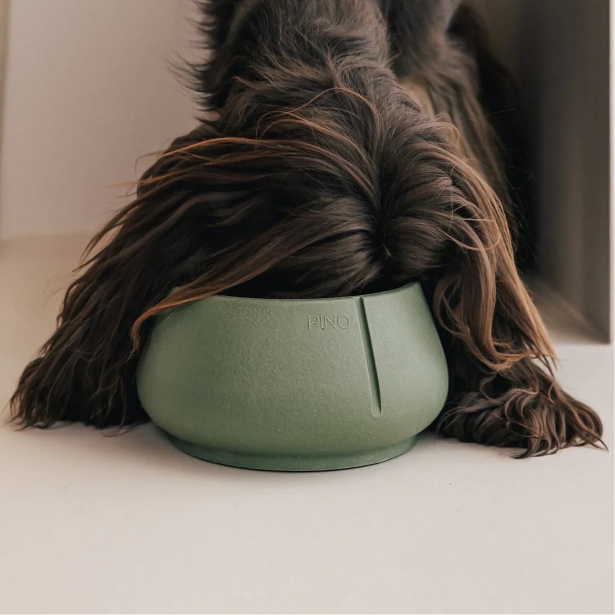Een langharige hond eet uit een groene PINO Lange Oren Voerbak, de oren hangen langs de buitenkant van de voerbak