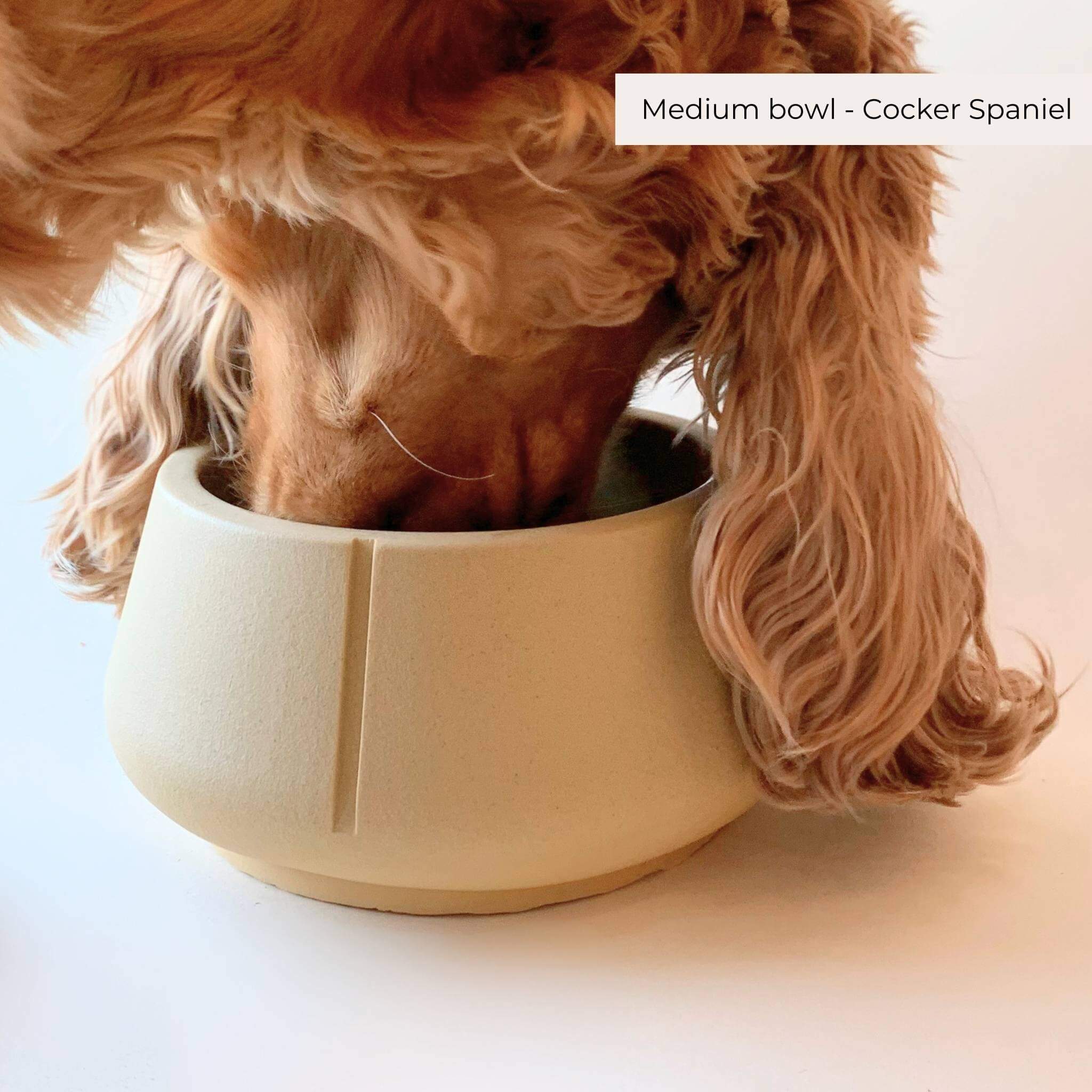 Long Ears bowls