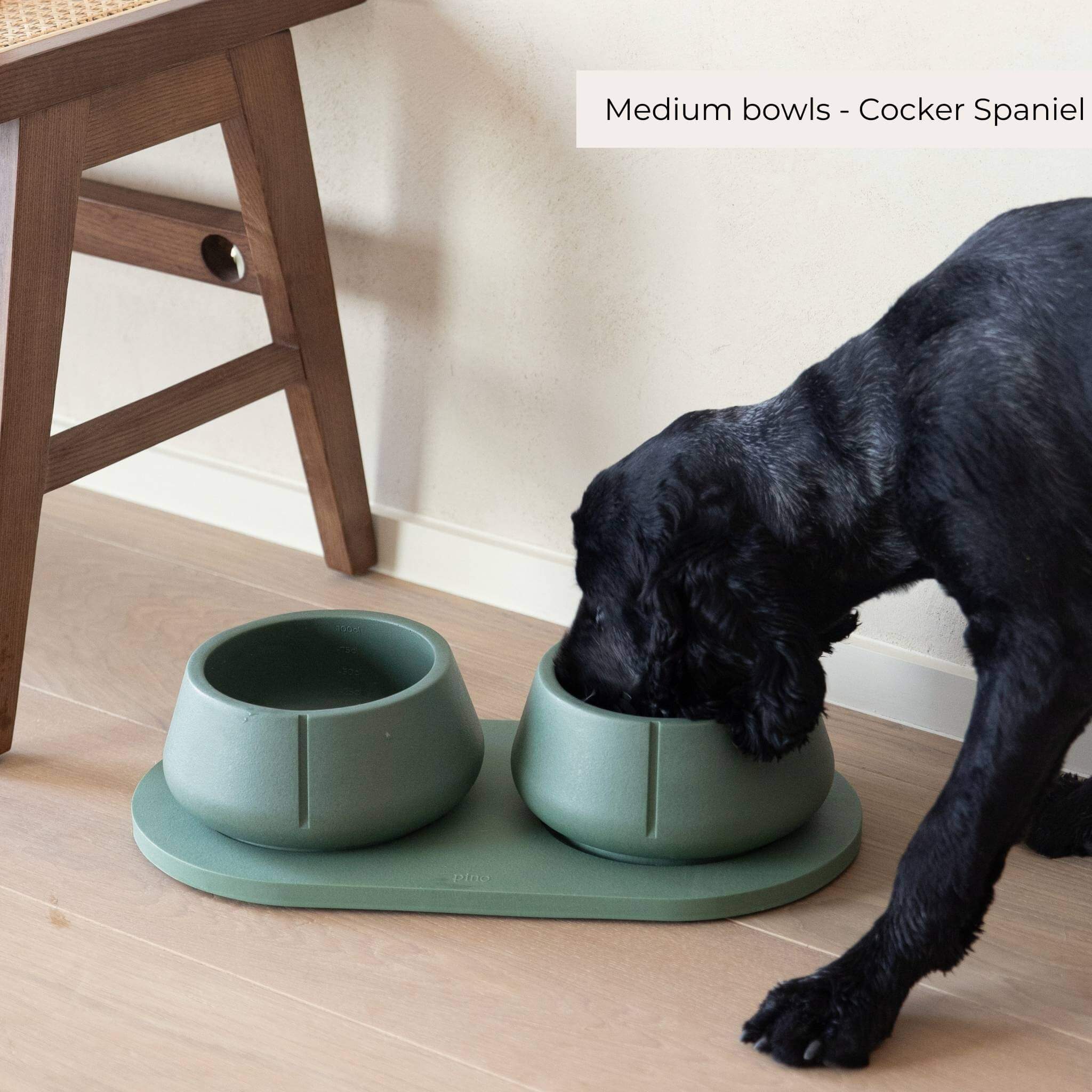 Long Ears bowls