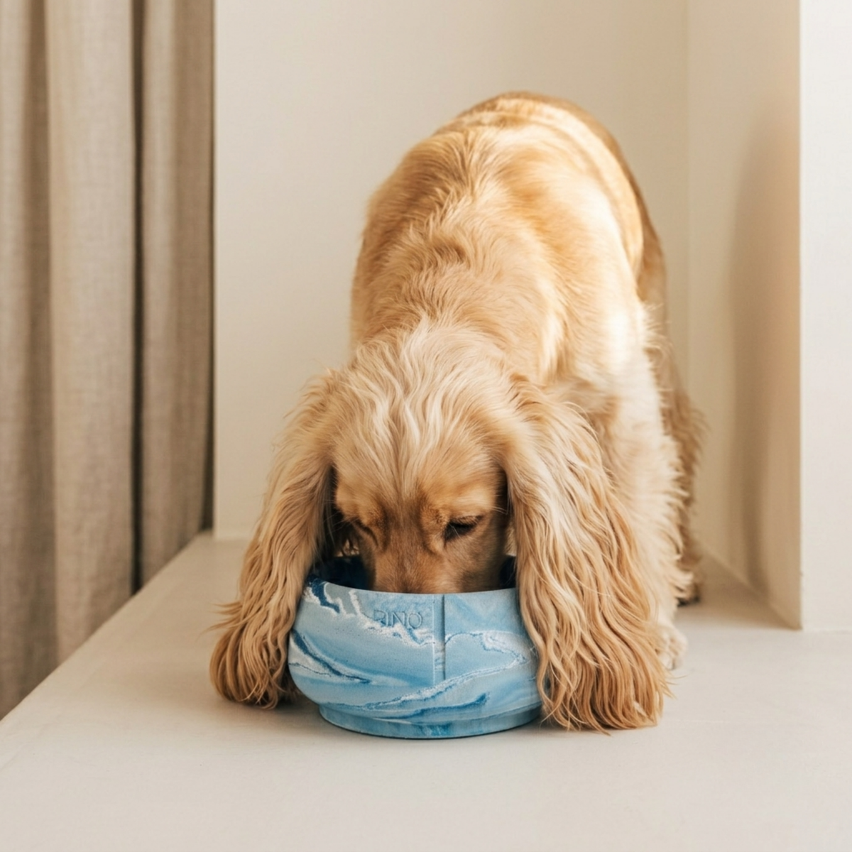 Long Ears Bowl (Bluebird Limited Edition)