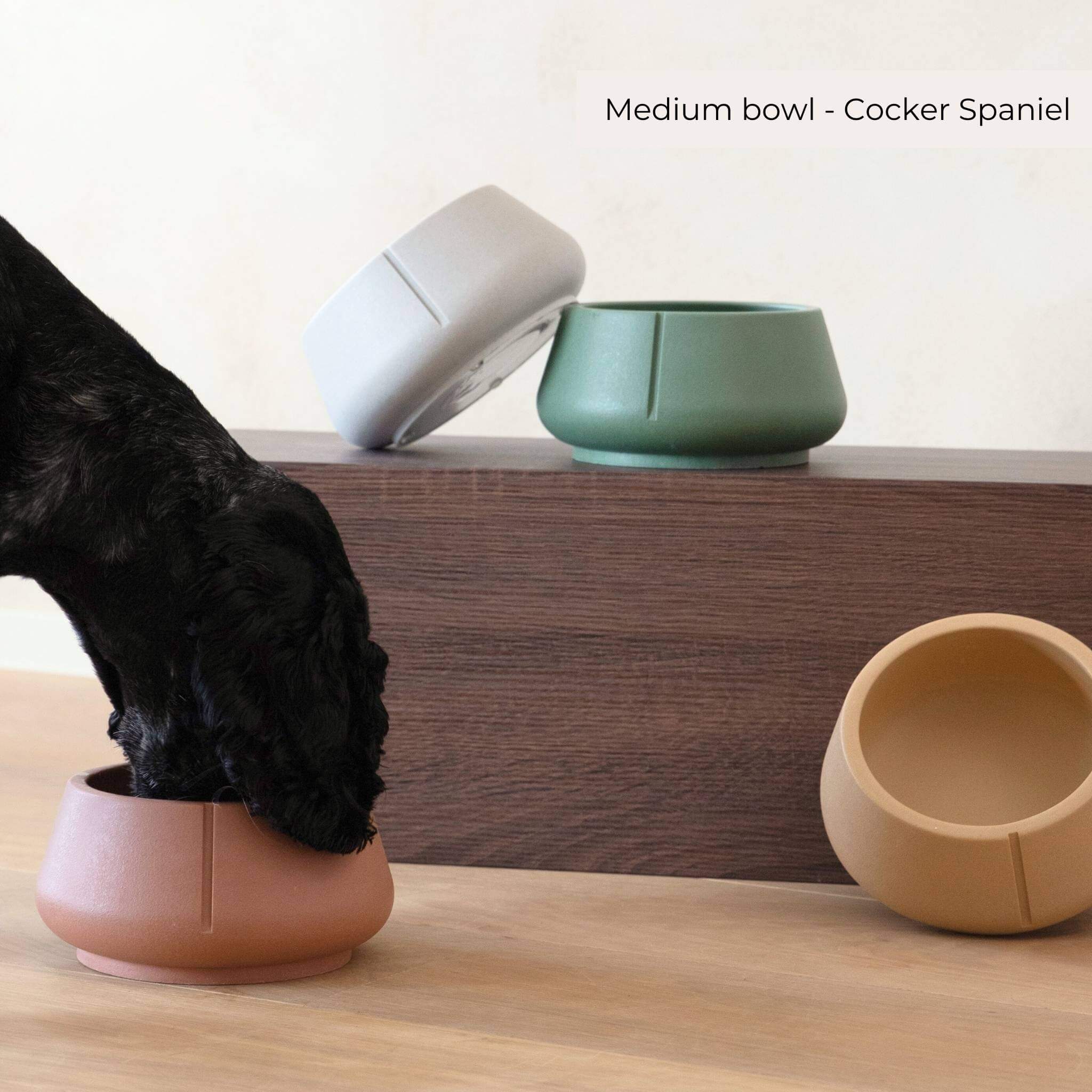 Long Ears bowls