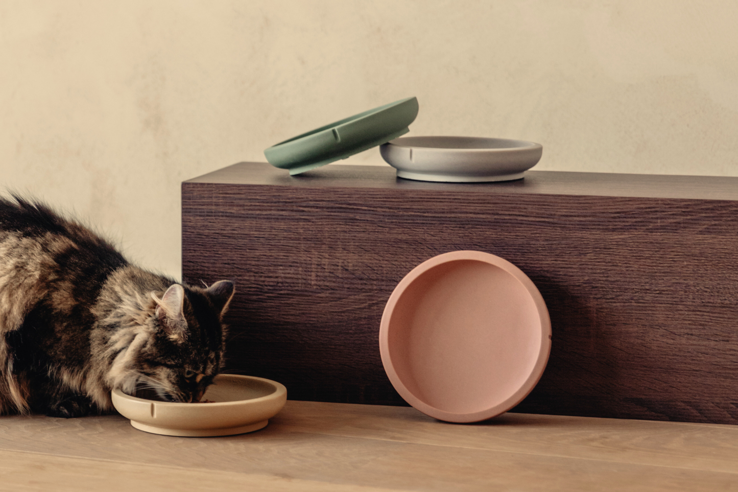 Whisker Friendly Bowls