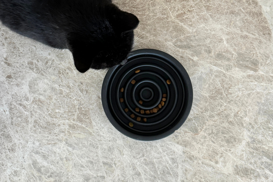Alimentation lente et gamelles interactifs Édition Limitée