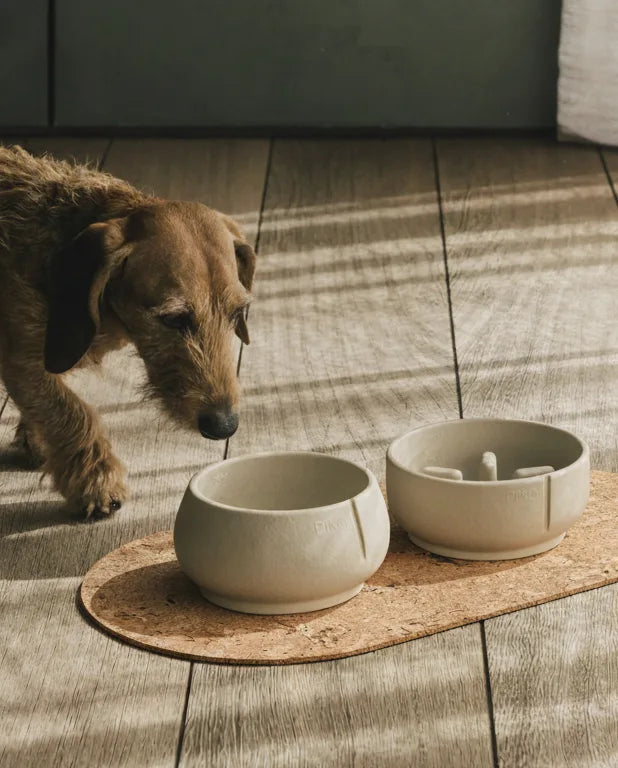 A dog walking up to two PINO bowls on a cork PINO Placemat