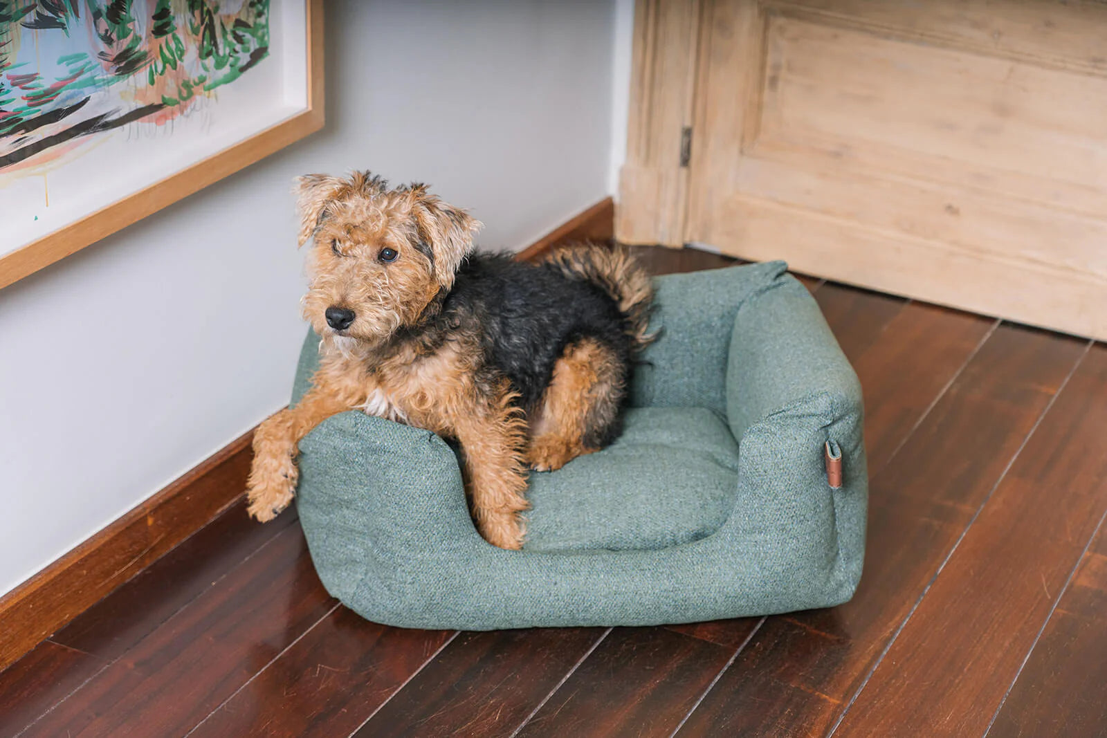 Botanical Green Dog Bed