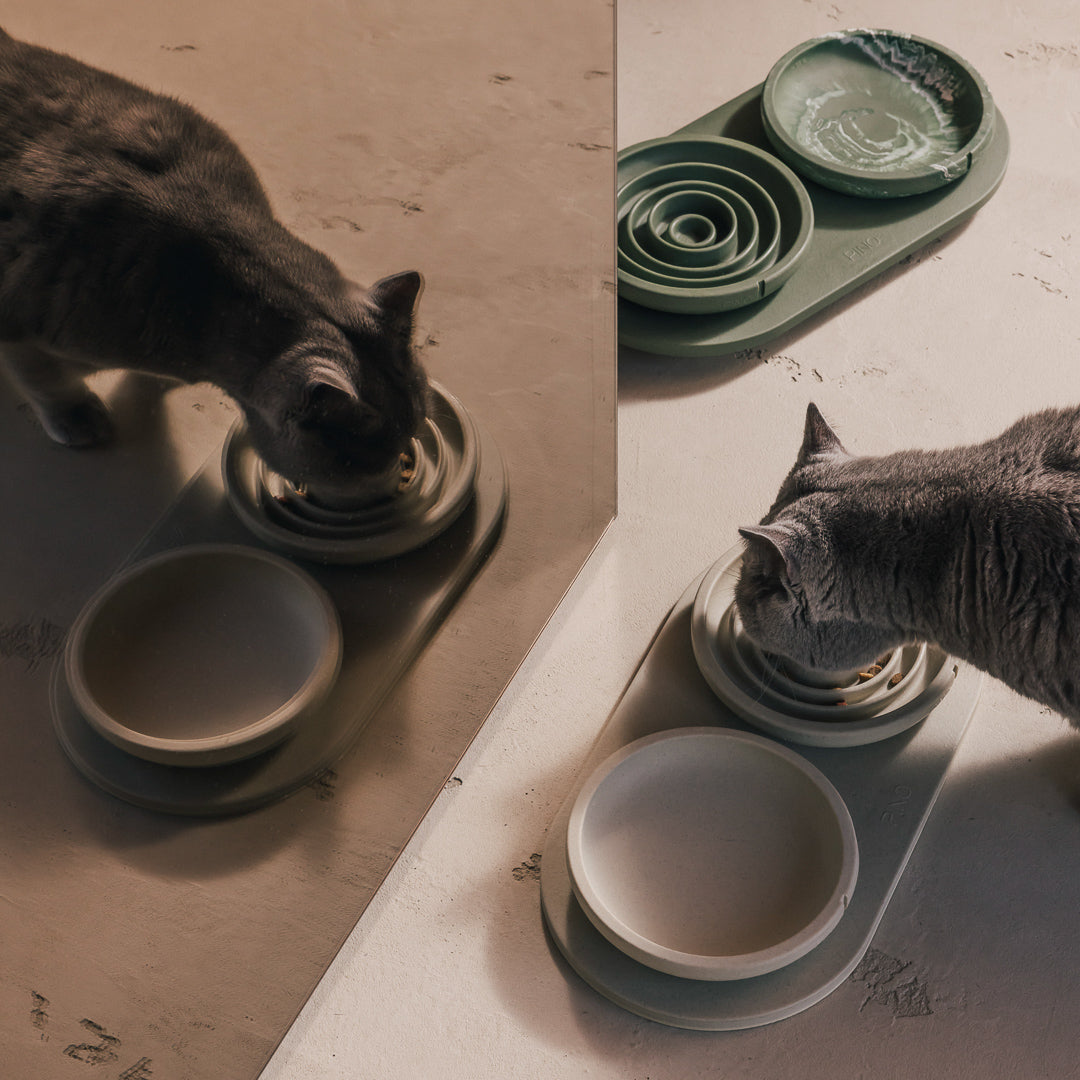 Grijze kat eet uit een PINO Anti-Schrok Voerbak voor katten op een Plateau, weerspiegeld in een spiegel