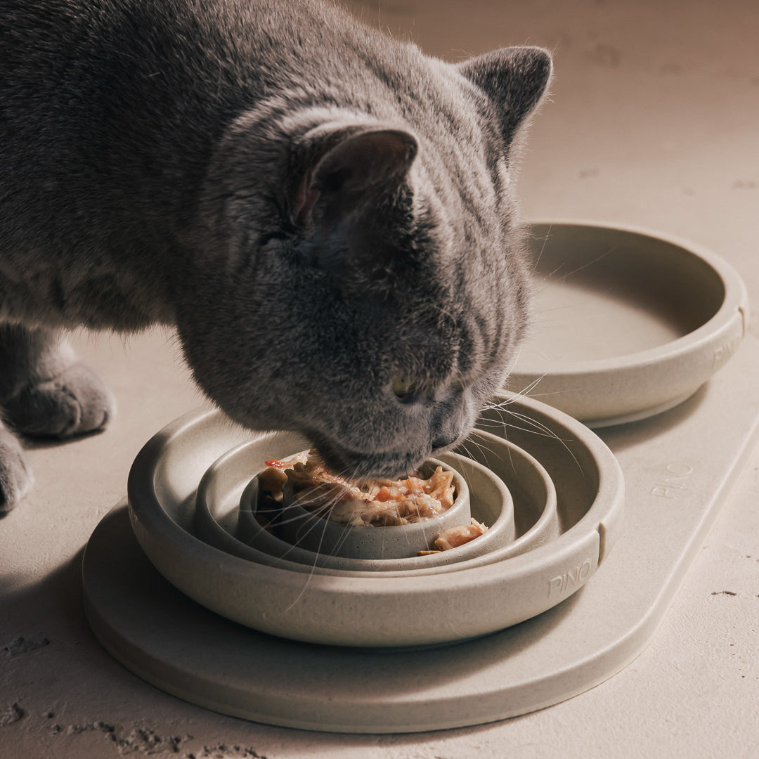 Close-up van een grijze kat die natvoer eet uit een PINO Anti-Schrok Voerbak voor katten